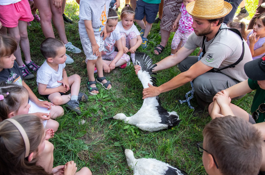 Sikeresen lezajlott a Szanyi Gólyafesztivál 2025 – Élményekkel és hagyományőrzéssel telt a nap