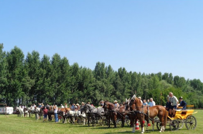 Lóerő és hagyomány: XVII. Győrsövényházi Lovastalálkozó