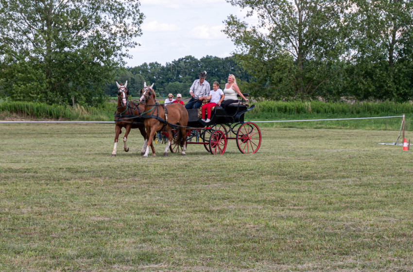 XVII. Győrsövényházi Lovastalálkozó - videó