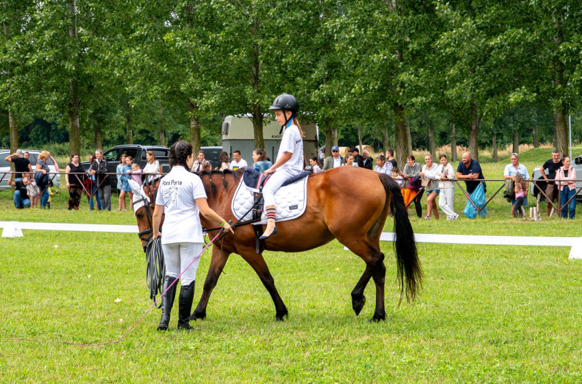 Szent Anna Napi Családi Lovasnap – Lovasbemutatók és ügyességi versenyek Kapuváron