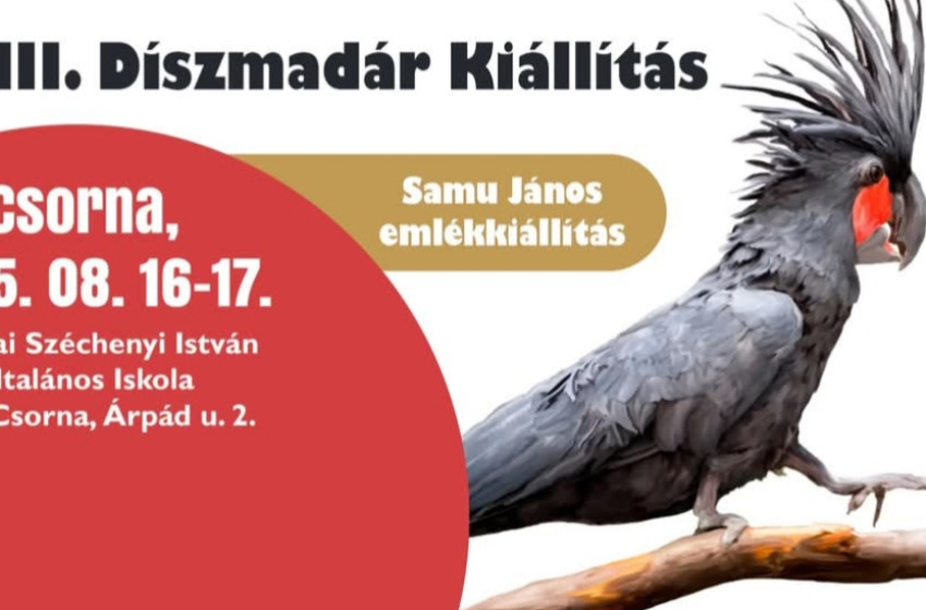 Ha madárrajongó vagy, ezt a programot neked találták ki