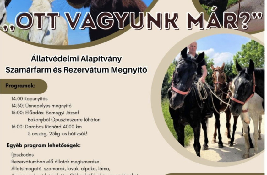 Szombaton nyitja meg kapuit az Állatvédelmi Alapítvány Szamárfarmja és Rezervátuma