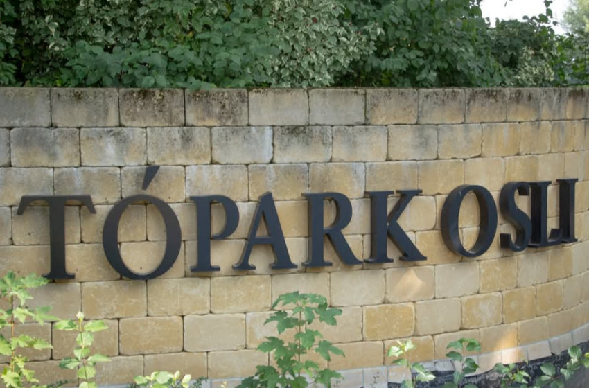 Videó: jótékonysági Családi Nap Osliban  a Déméter Házért