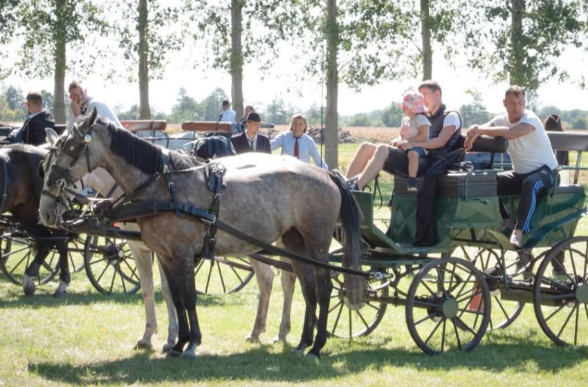 Videó: VIII. Dunántúli Vármegyék és Dél-Szlovákia Kettesfogathajtó Döntő