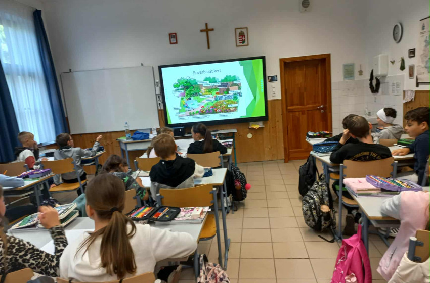 Rovarbarát kert és rovarhotel – az 5.c osztály a teremtésvédelemért