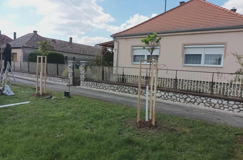 Faültetés Szilsárkányban