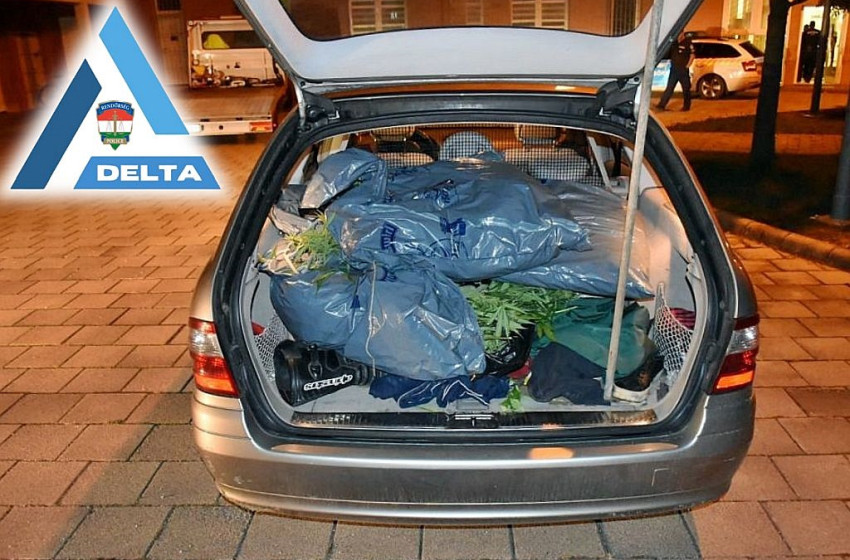 Tankolásnál bukott le mintegy 14 kilogramm cannabissal Kapuváron