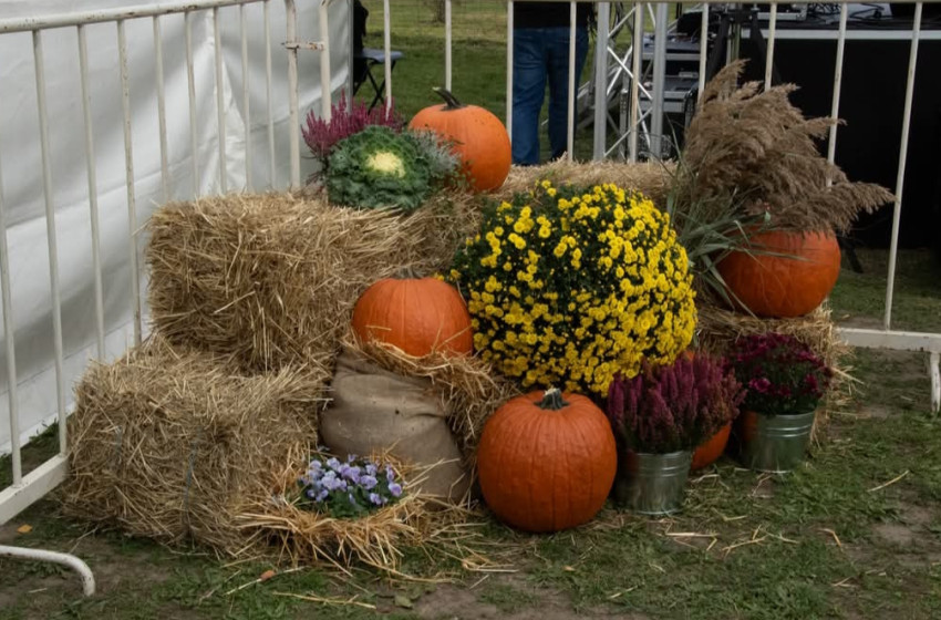 I. Koroncói Tök Jó Fesztivál 2025 - videó