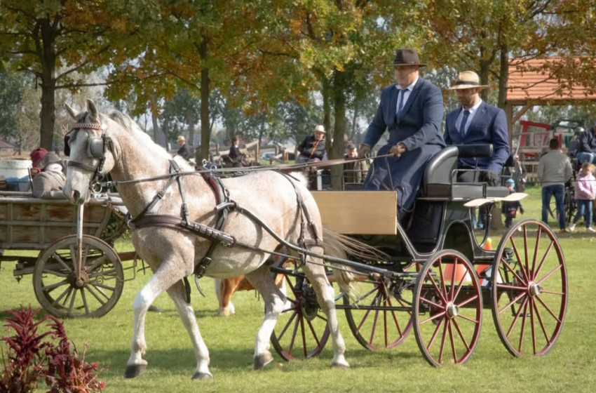 Fogathajtó Országos Bajnokság Farádon - videó