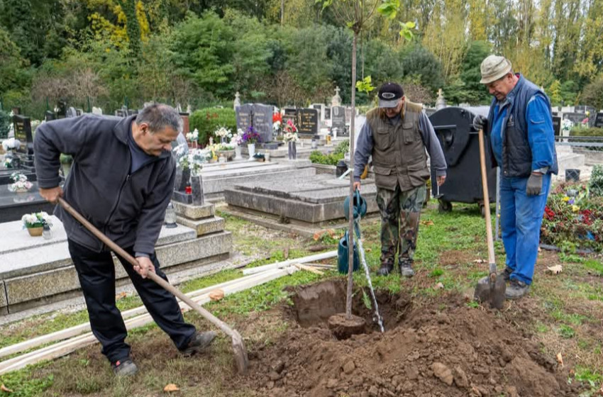 Fákkal szépül Szil Községe! - videó