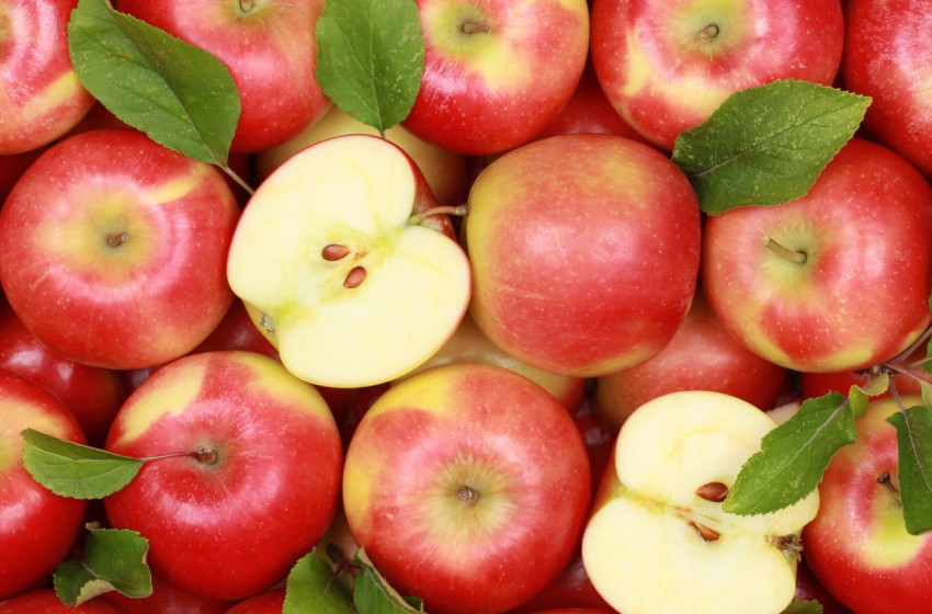 Almavásár a Rábaközben – friss gyümölcs vár Téten, Kapuváron és Csornán!