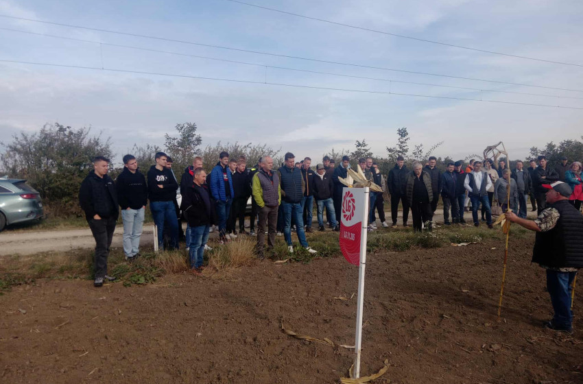 Kukorica fajtabemutató és szakmai nap Csornán