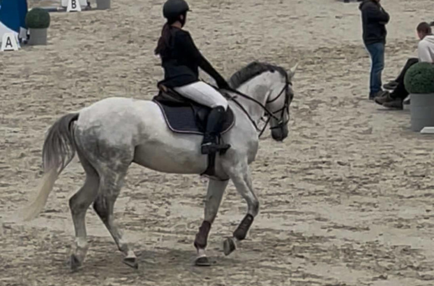 Diákolimpiai ezüstérem Kapuvárról