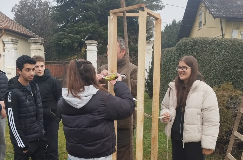 Településfásítási Program Beledben