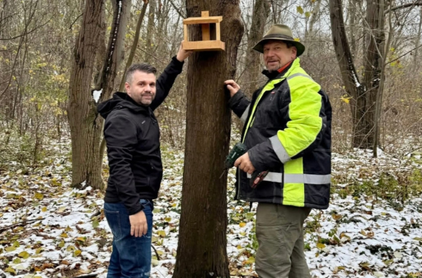 Csorna városa idén is gondol a telelő madarakra – új madáretetők kerültek ki a közterületekre
