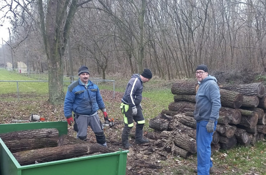 41 köbméter szociális tüzifát kapott Osli