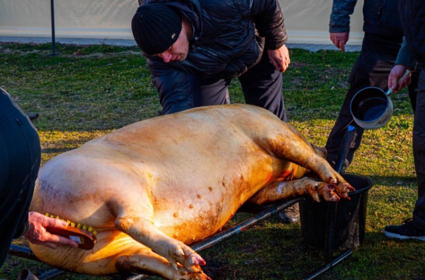 Február a Rábaköz.hu-n: Disznóvágások, farsangok és az elajándékozott tűzoltóautó