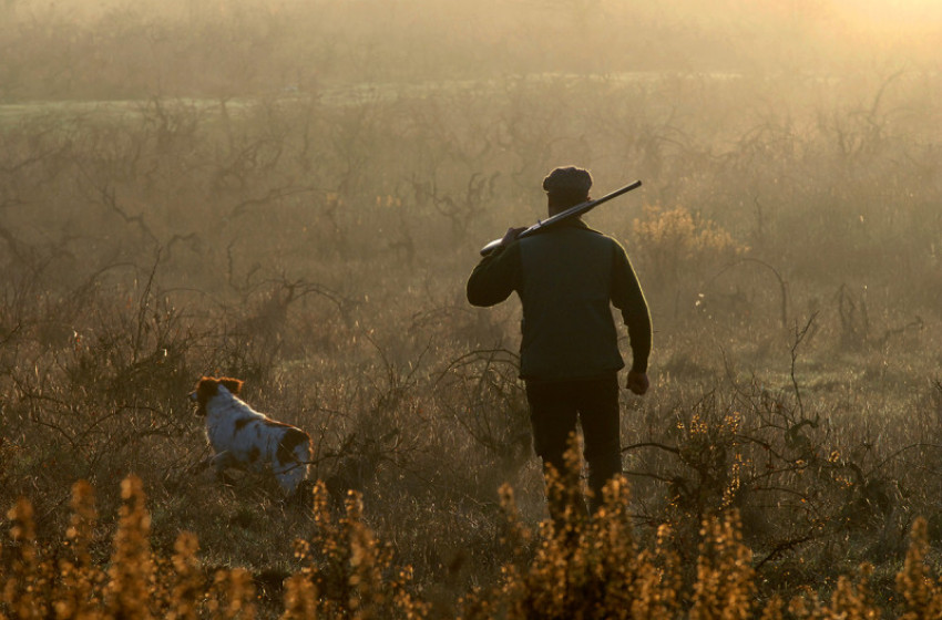 Állományszabályozó vadászat miatti erdőlátogatási korlátozás a Röjtökmuzsaj–Csapod térségében