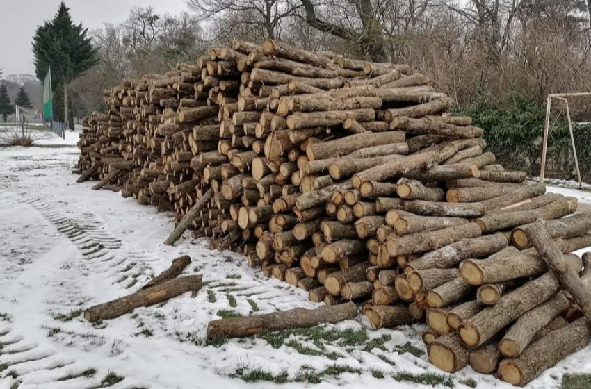 Megkezdődött a szociális tűzifa kiosztása Dénesfán