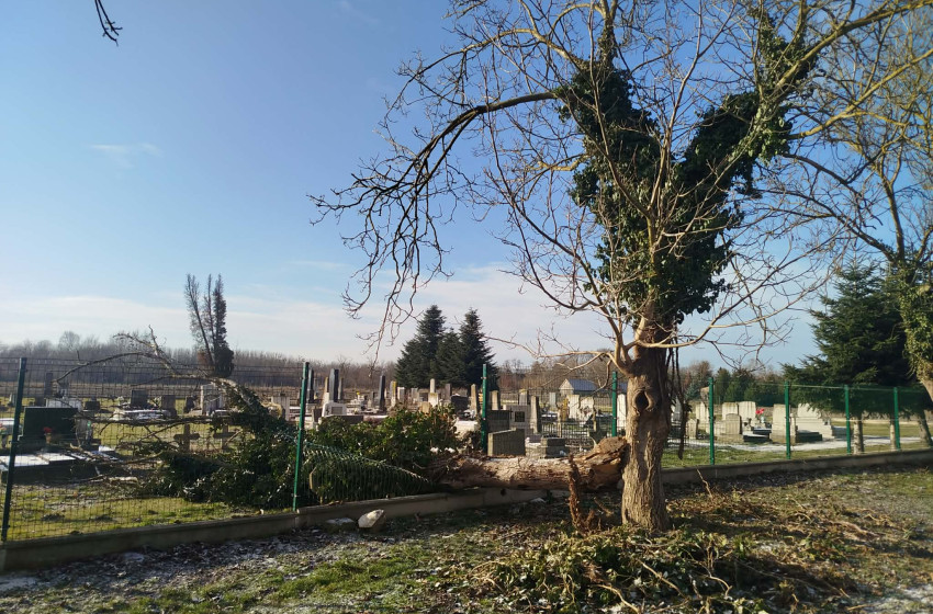 A megelőzés a közösség biztonságát szolgálja Jobaházán