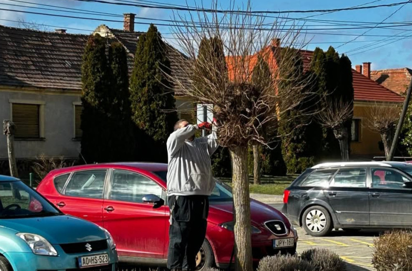 Megkezdődtek a tavaszi munkálatok Szilban