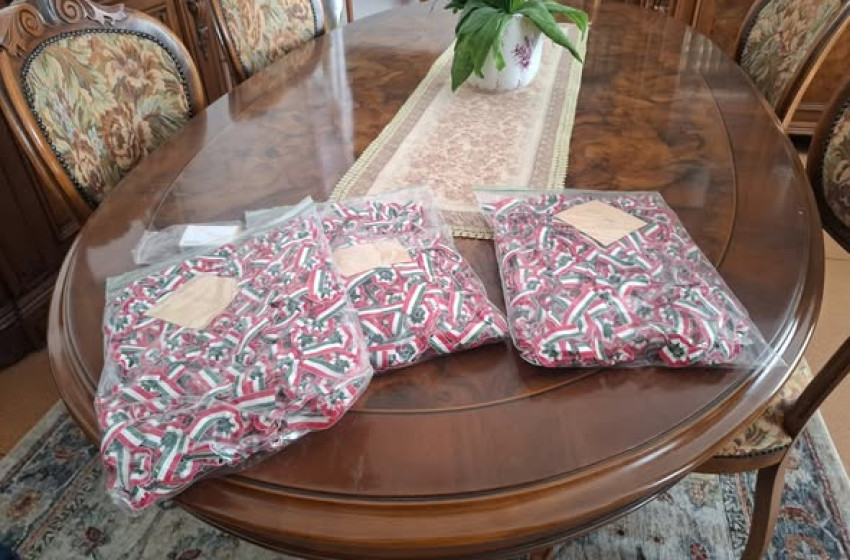 Kokárdaadomány érkezett a Páli Szent Vince Iskolaközpontba