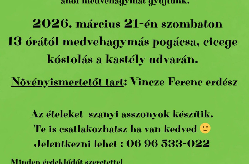 Medvehagyma-gyűjtés és kóstoló Szanyban