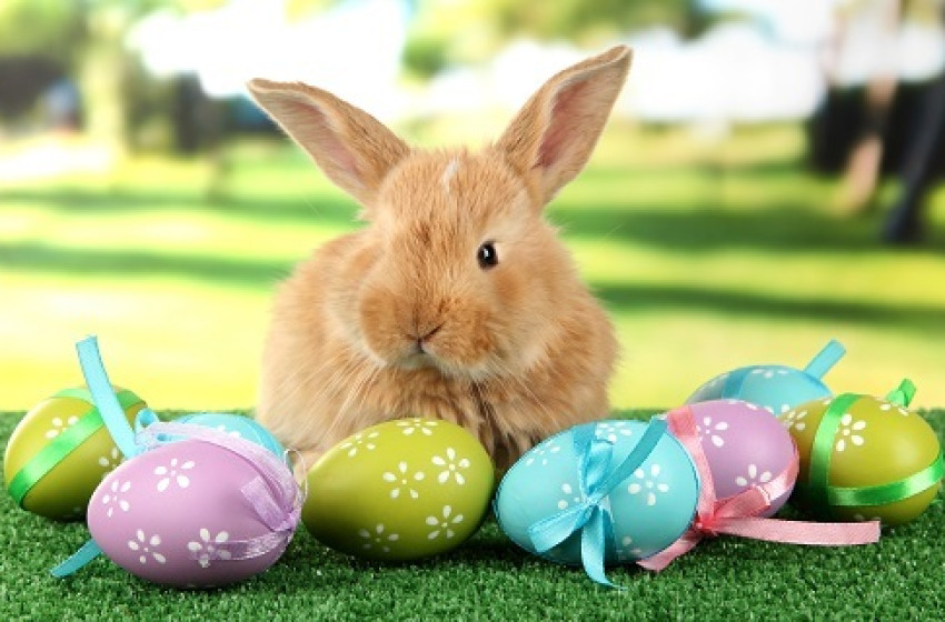 Húsvétváró kézműves foglalkozás Bágyogszováton