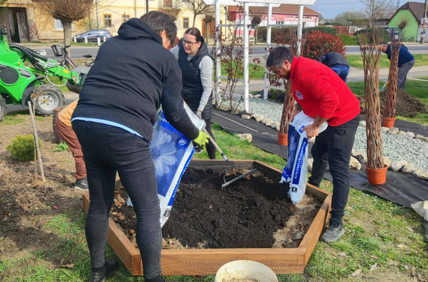 Megújult a levendulapark Szilsárkányban