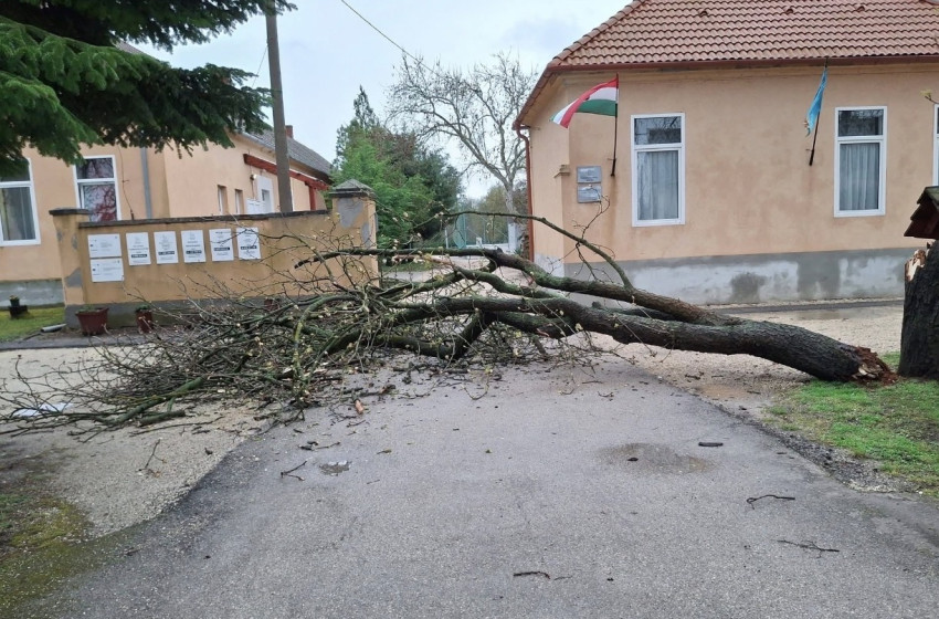 Kidőlt fa zárta el az utat Dénesfán – szerencsére nem történt baleset