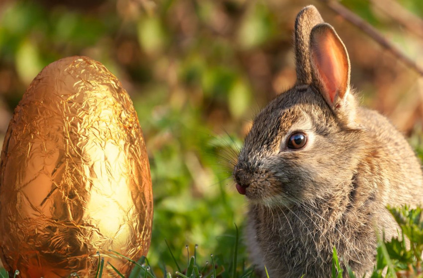 Húsvéti forgatag várja a családokat a Szent István téren