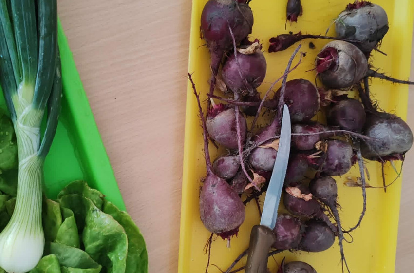 Beérett az iskolakert termése
