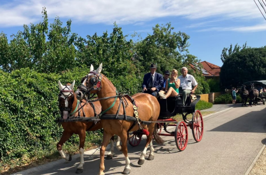 Sikeres volt a XVIII. Győrsövényházi Lovastalálkozó