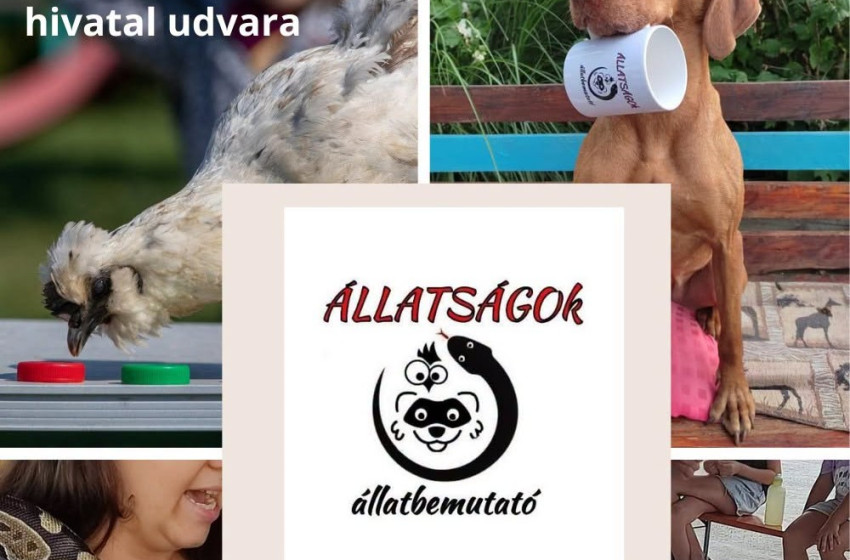 Interaktív állatbemutató várja az érdeklődőket Hövejen