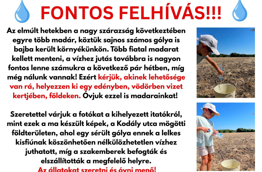 Összefogással a madarak védelméért