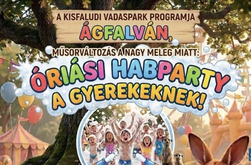 Műsorváltozás a Zoo Kisfalud családi napján – a hőség miatt habparti váltja a pónilovaglást