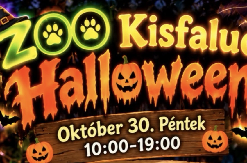 Halloween a Kisfaludi Állatkertben: varázslatos játékokkal, arcfestéssel és rejtélyekkel várják a családokat